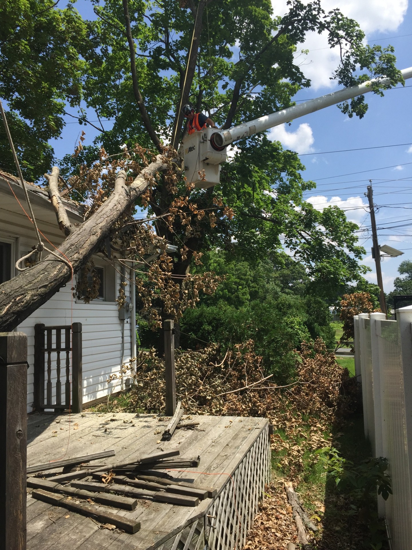 Removing dead branches from over residential porch