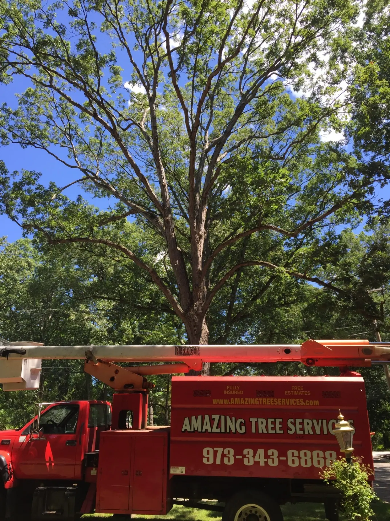 Amazing Tree Services bucket truck positioned for large tree service job in New Jersey