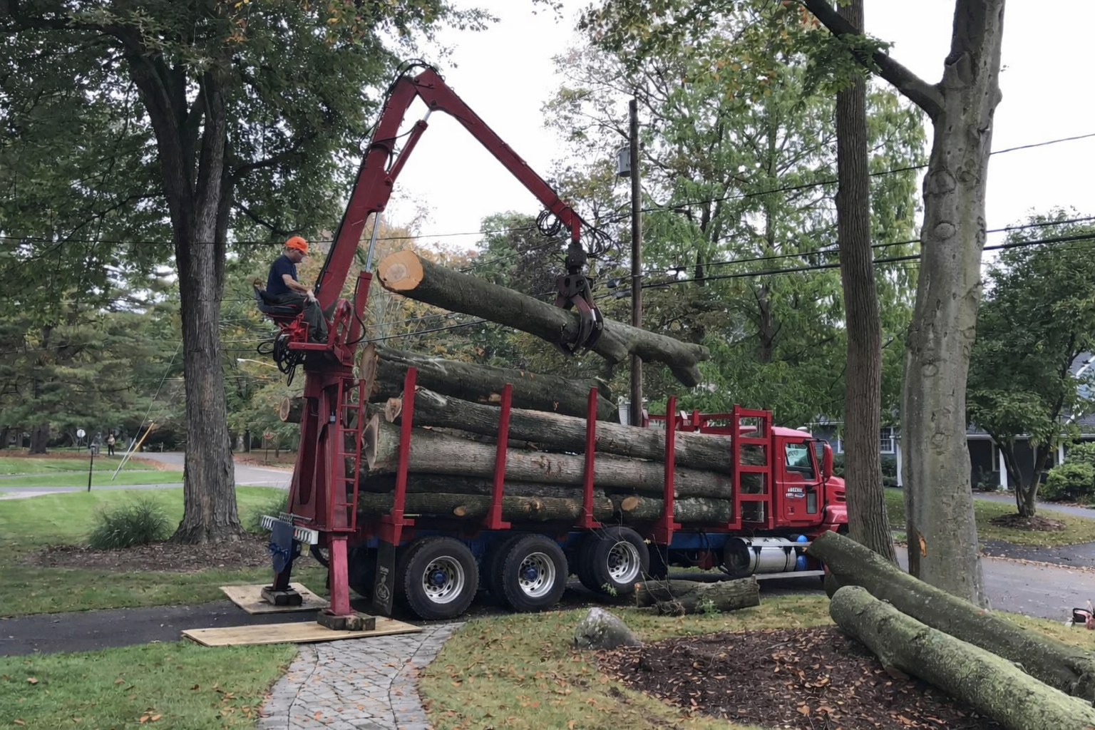 Amazing Tree Services company logo
