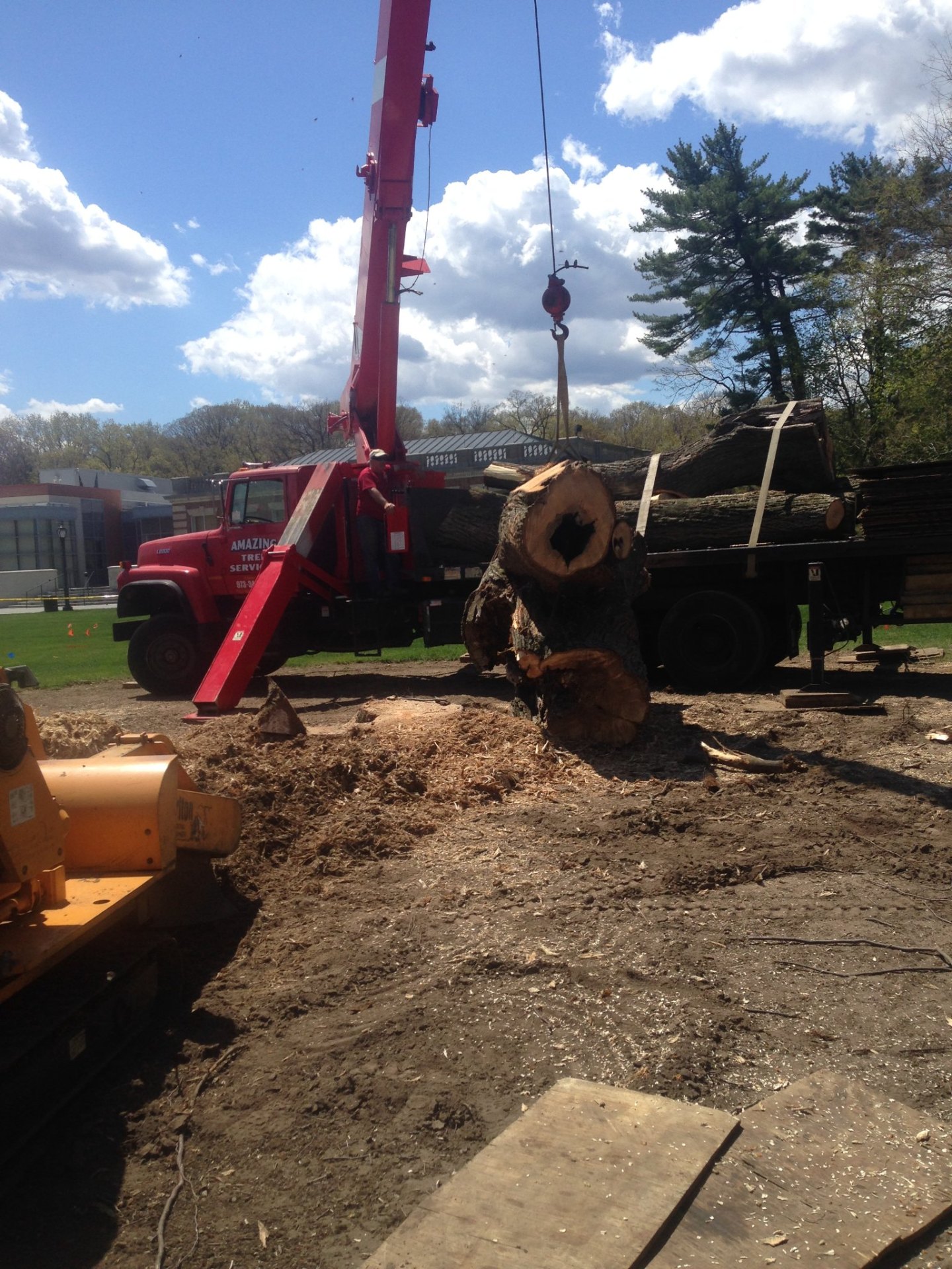 Crane loading tree trunk sections at commercial property