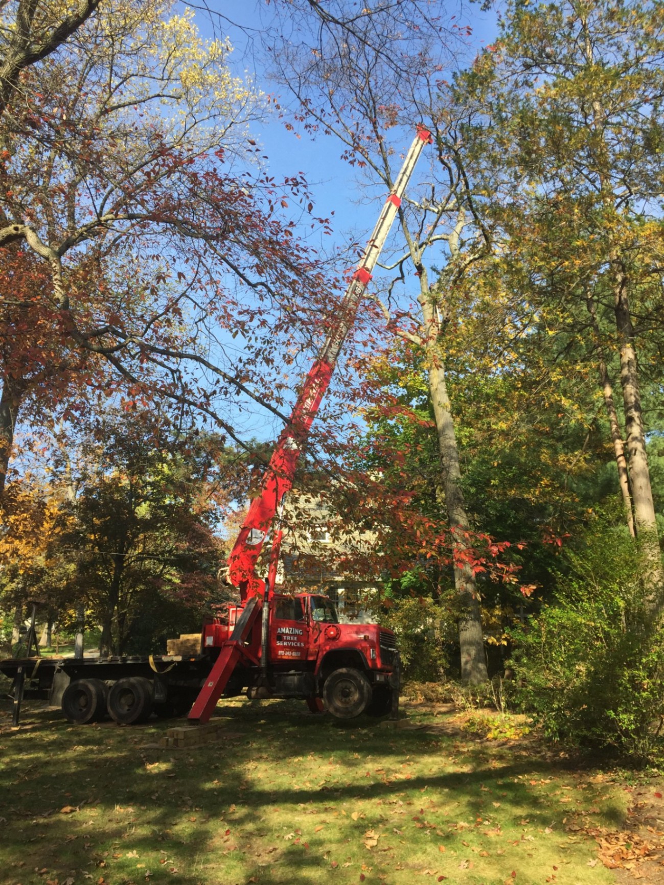 Crane truck with boom extended on wooded property