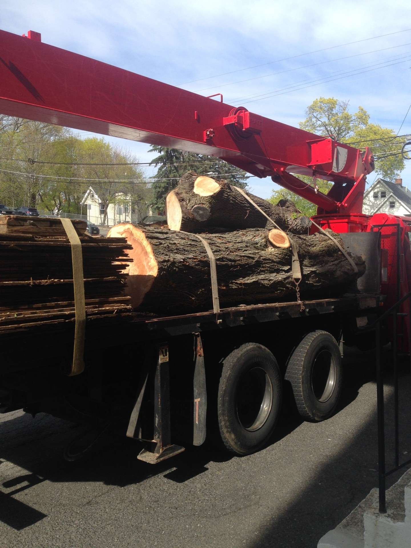 Crane truck loaded with large tree logs after removal