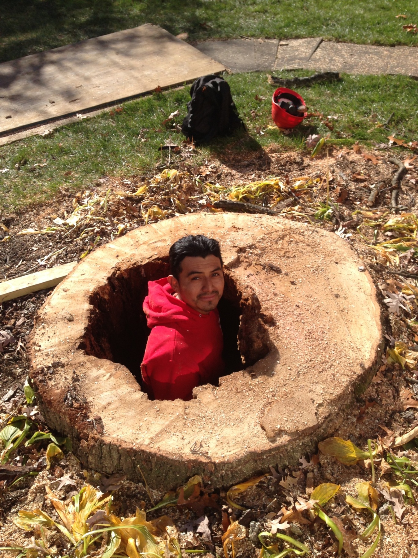 Amazing Tree Services team member showing the size of a hollow stump removed in NJ