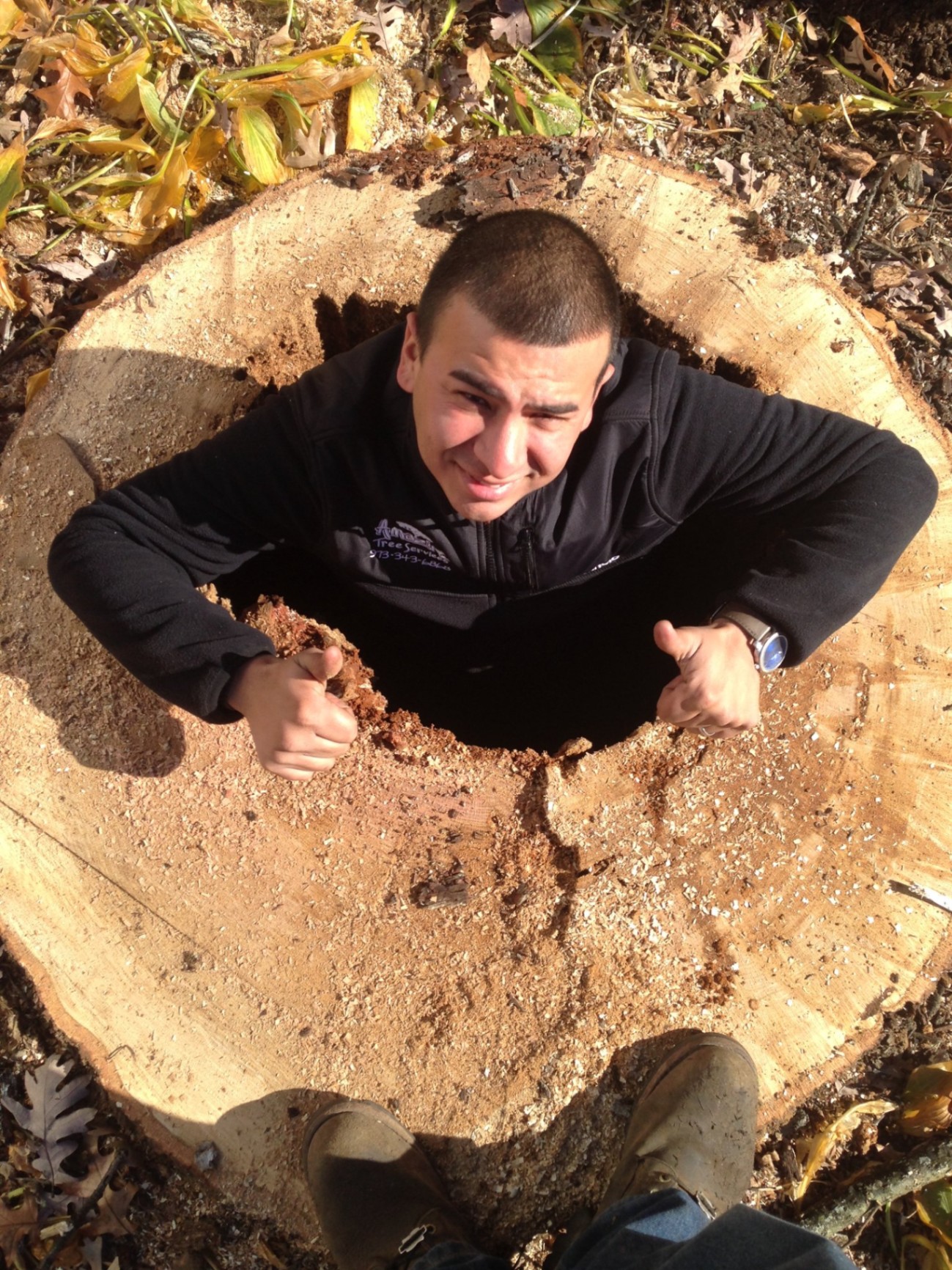 Amazing Tree Services crew member inside a massive hollow tree stump in New Jersey