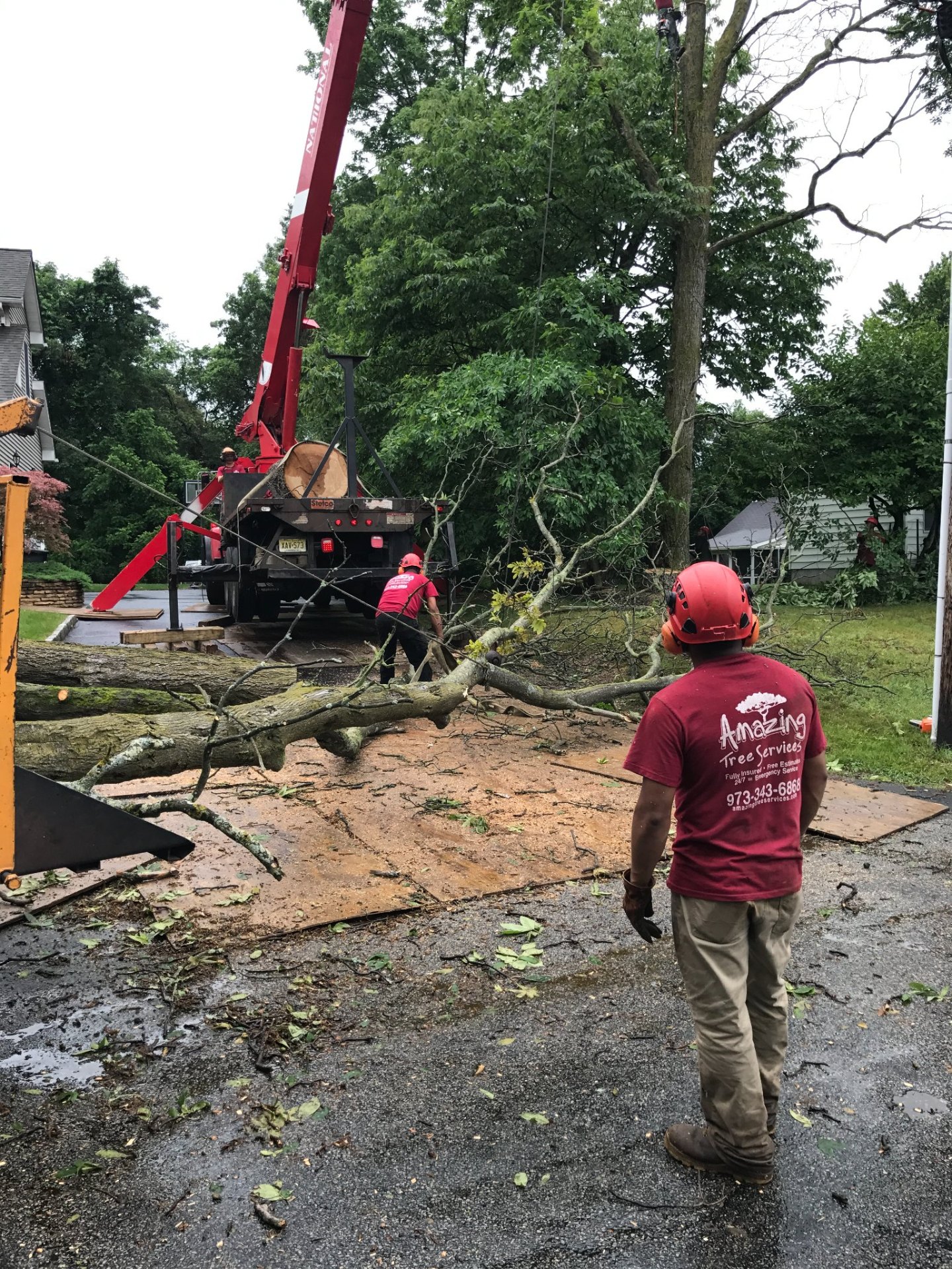 Crew loading cut tree sections during residential removal