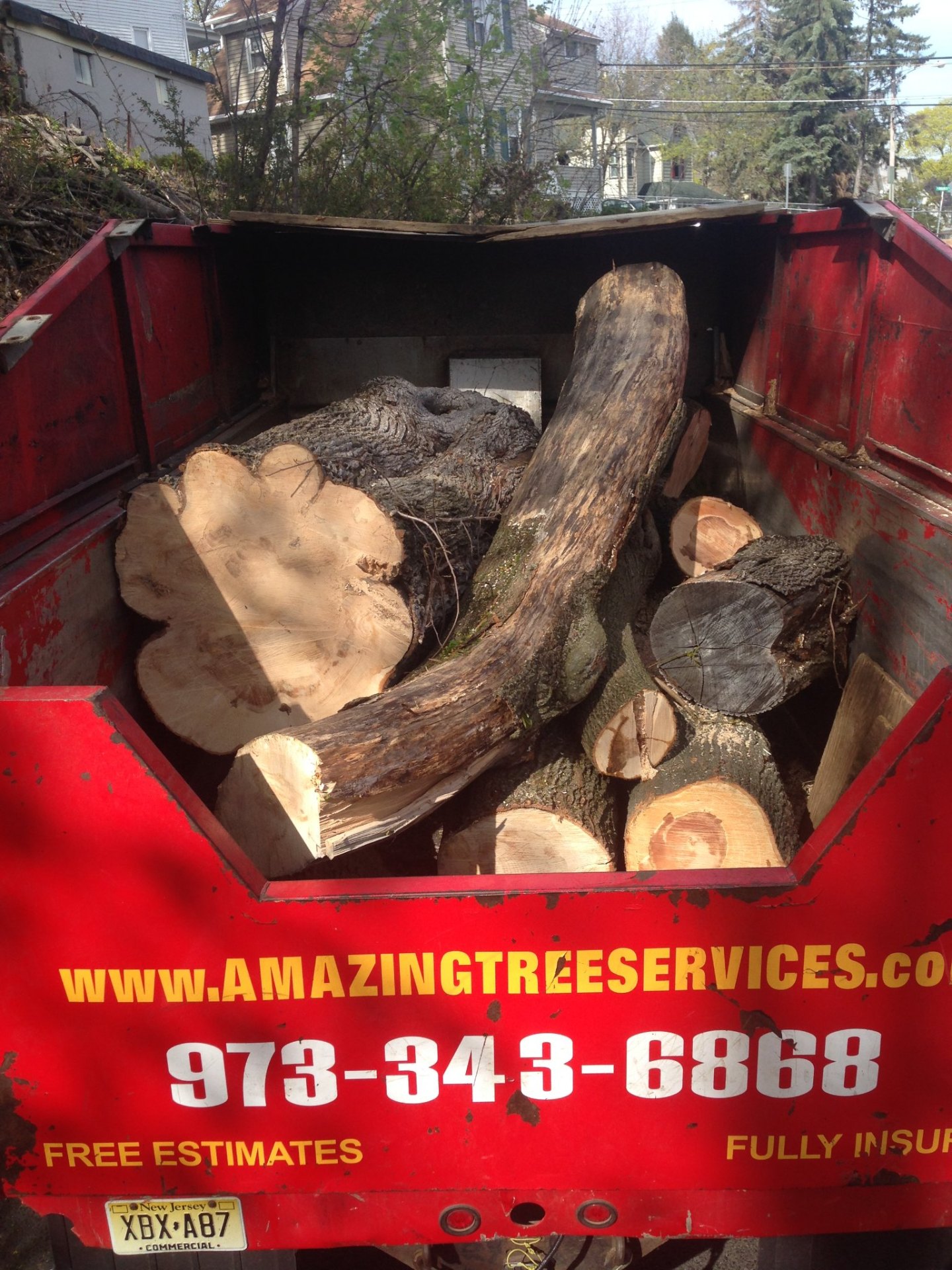 Dump truck loaded with cut tree logs