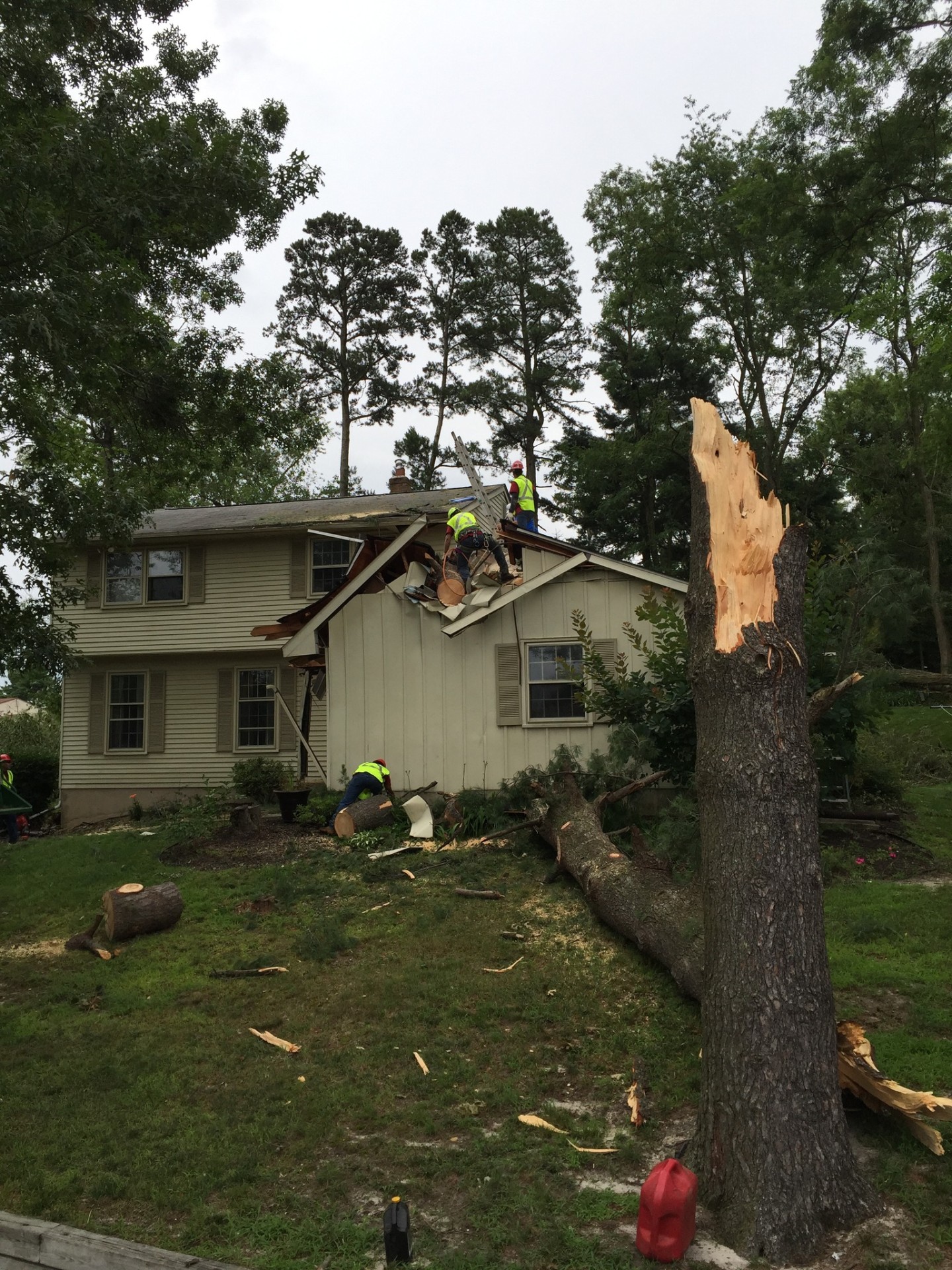 Crew removing storm damaged tree from roof