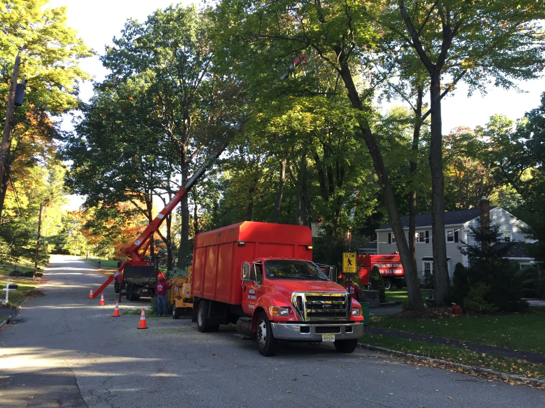 Amazing Tree Services fleet on residential street in North New Jersey