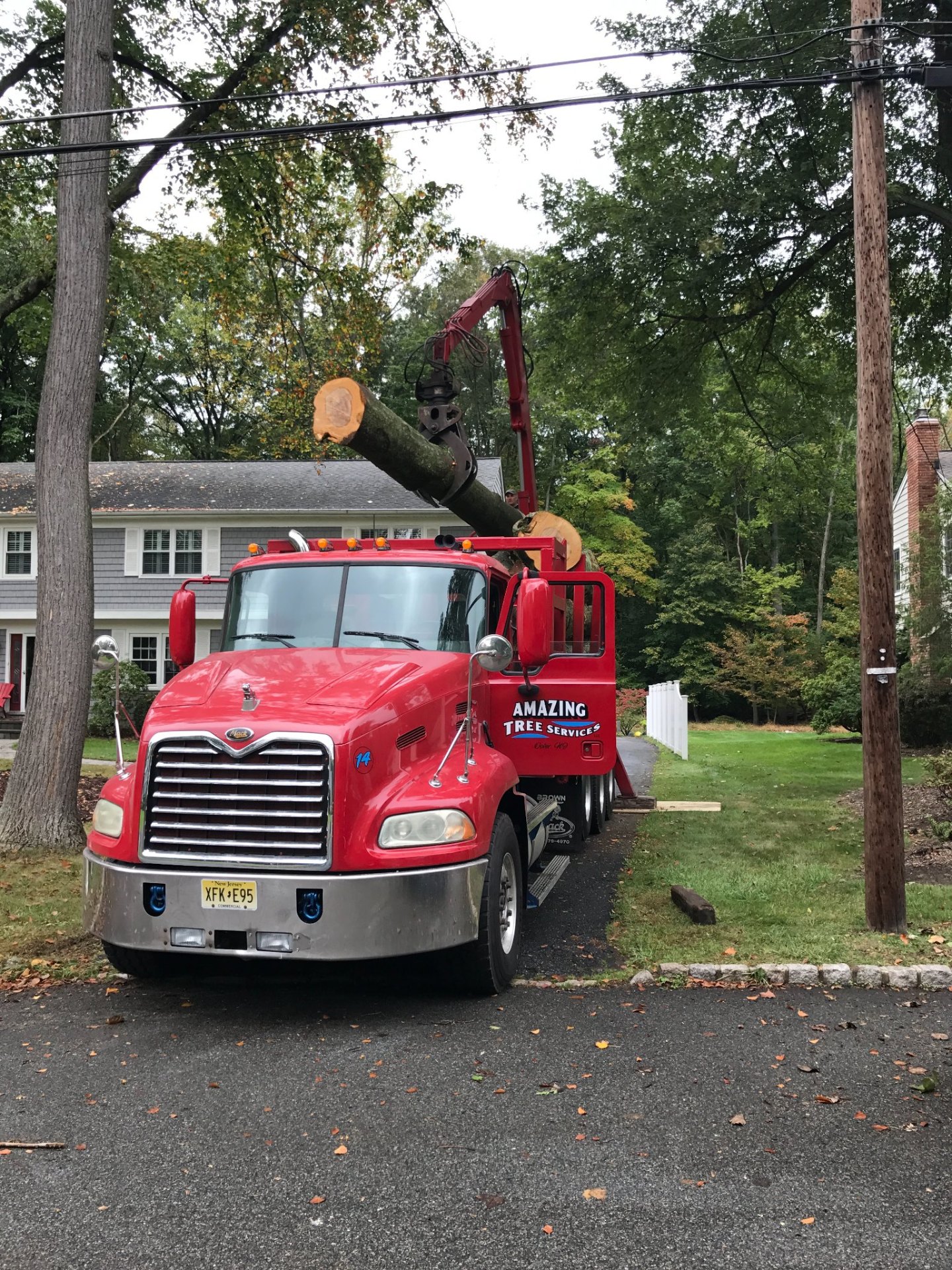 Grapple truck carrying large tree trunk section