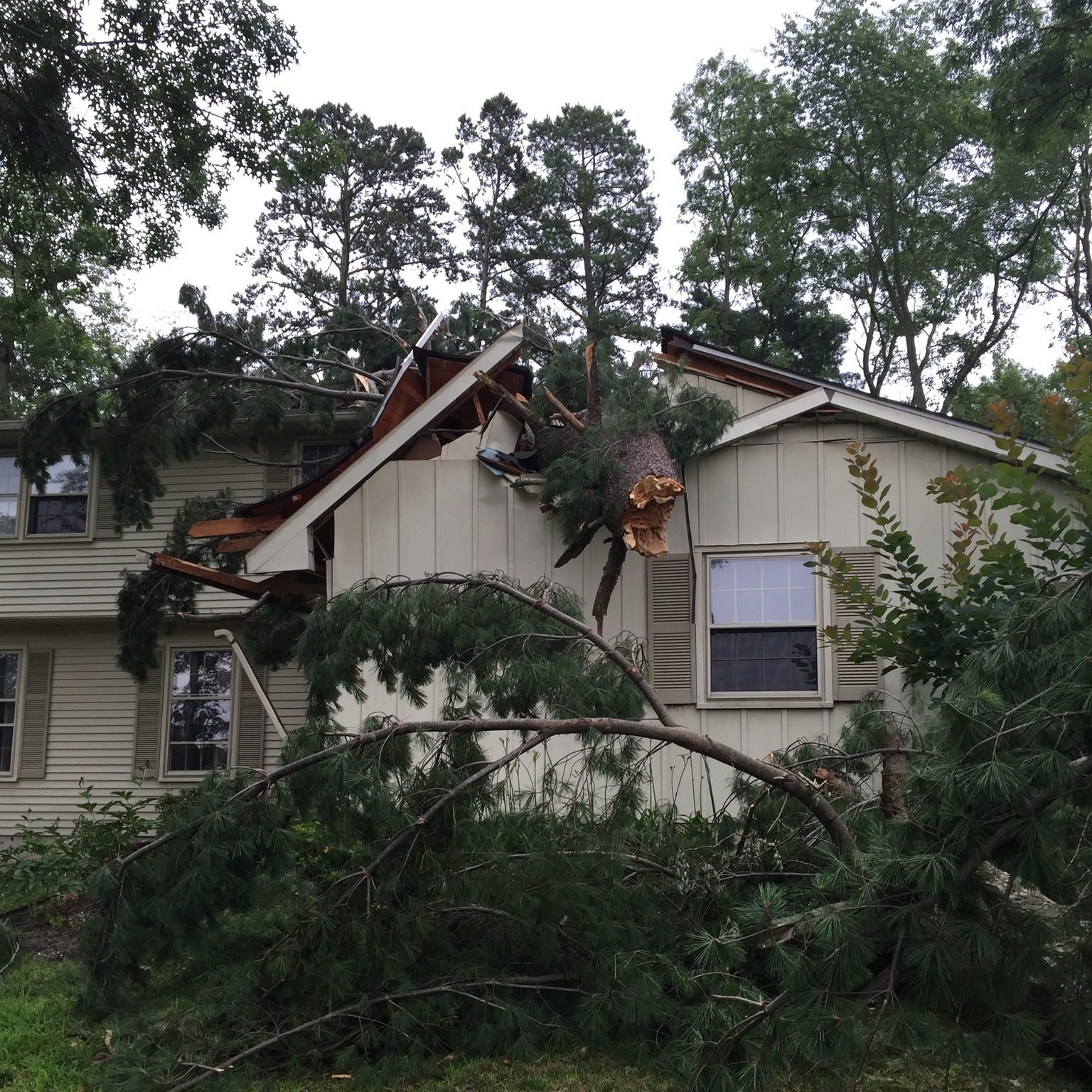 Pine tree crashed through house roof after storm