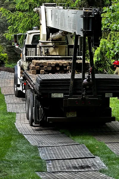 Tree Service Examples  - Image 14