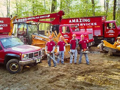 Tree Service Examples  - Image 22