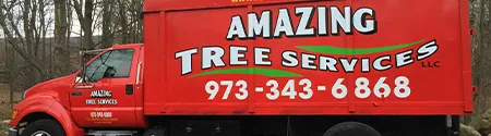 Tree Services  Estimate