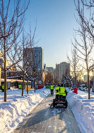 Commercial Snow Removal Services