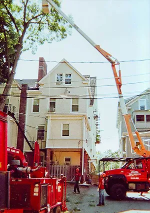 Crane Service Services